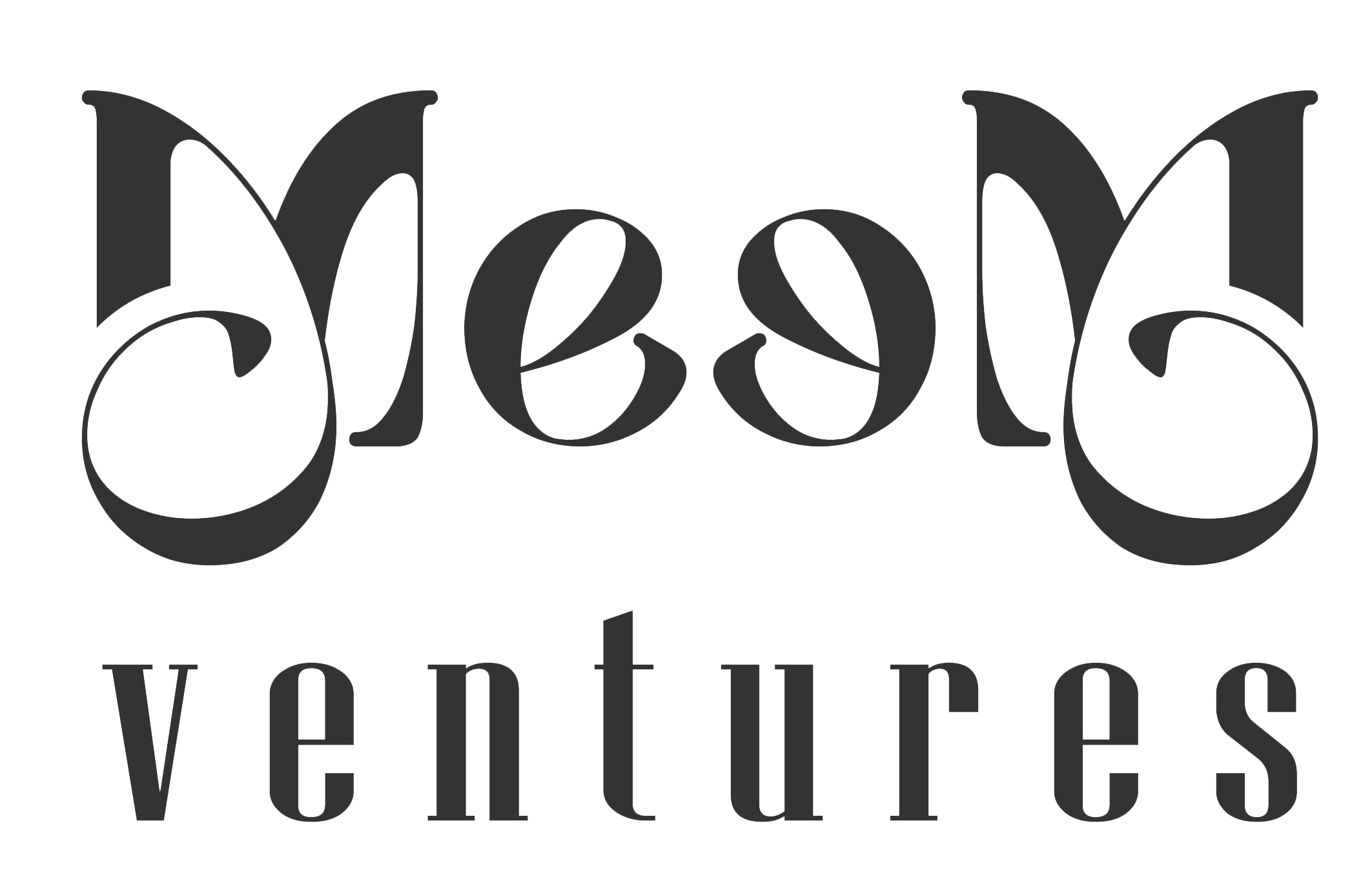 MEEM Ventures